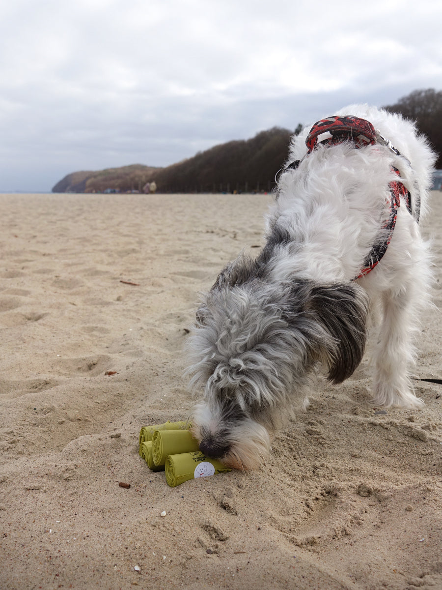 Kompostowalne, polskie kupoworki Totulo