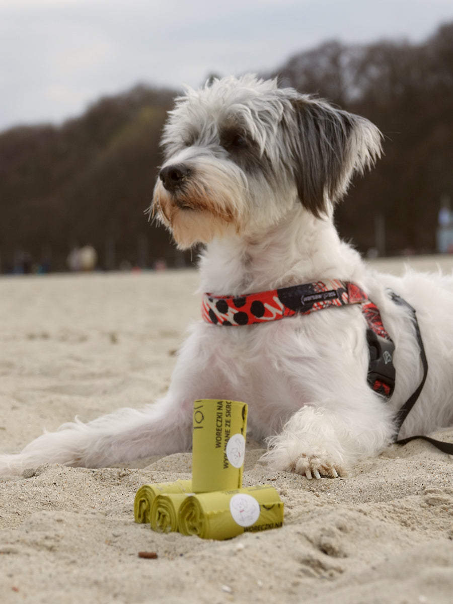 Kompostowalne, polskie kupoworki Totulo